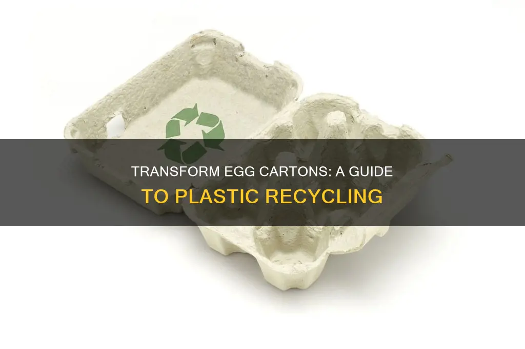 how to recycle plastic egg cartons