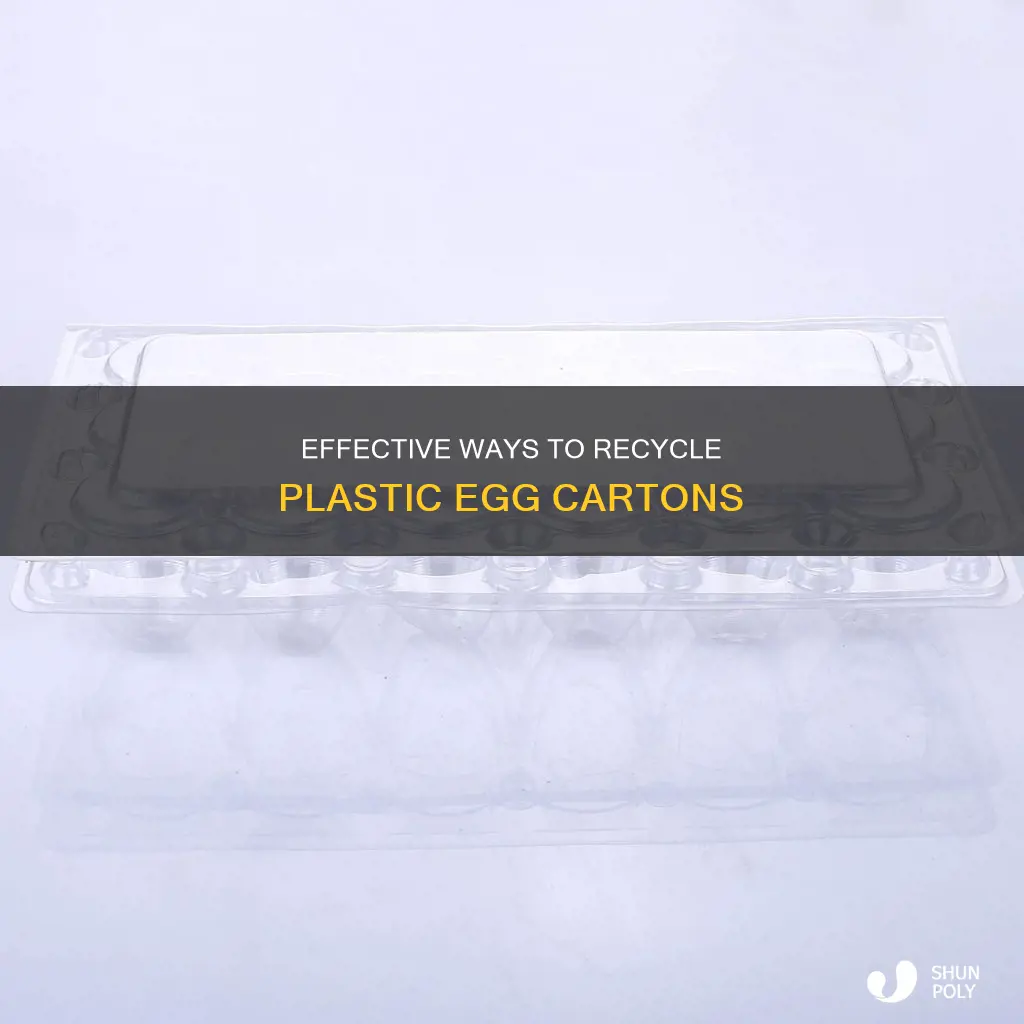 how to recycle plastic egg cartons