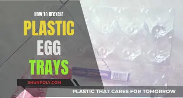 Transforming Plastic Egg Trays: A Guide to Eco-Friendly Recycling