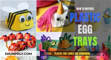 Egg Tray Recycling: Reuse and Revitalize Plastic Containers