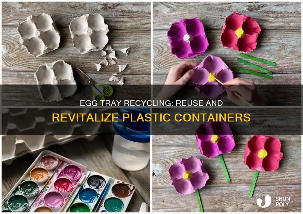 how to recycle plastic egg trays