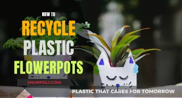 Transforming Plastic Flower Pots: A Guide to Eco-Friendly Recycling