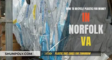 Norfolk's Plastic Recycling Guide: Turning Waste into Wealth