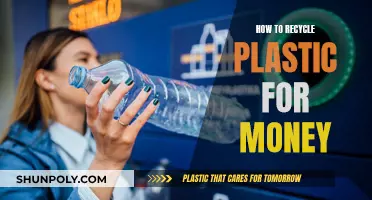 Maximize Your Plastic: Money-Making Recycling Tips Revealed