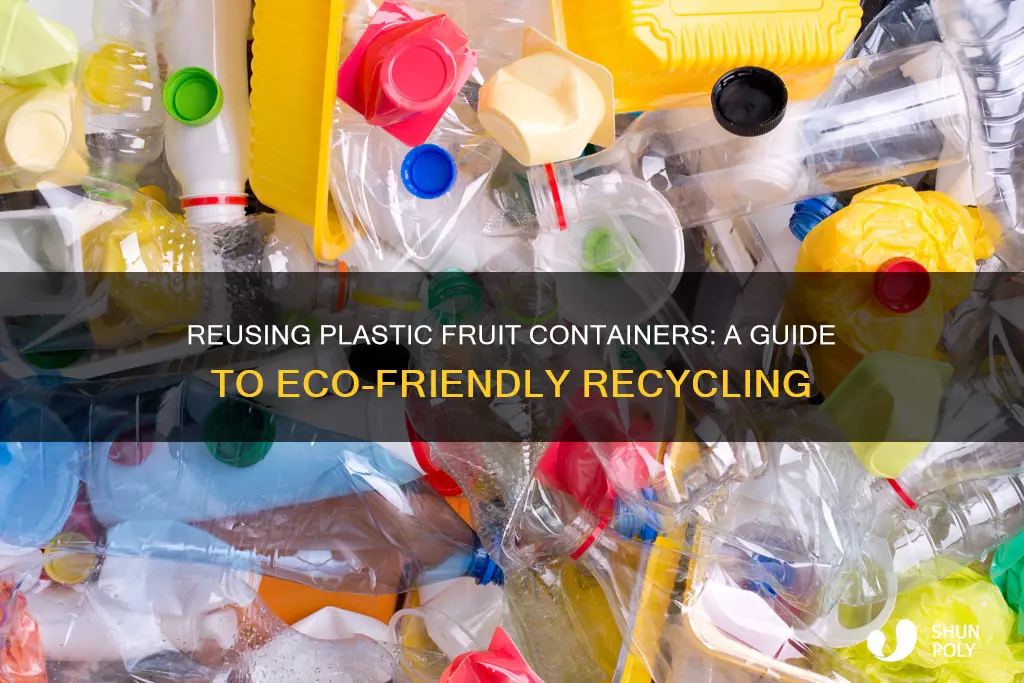 how to recycle plastic fruit containers