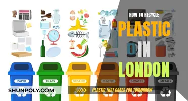 London's Guide to Plastic Recycling: Tips for Eco-Friendly Living