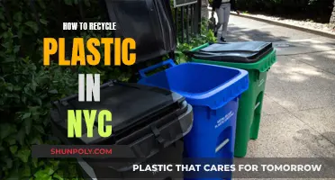 Green Guide: NYC's Plastic Recycling Tips