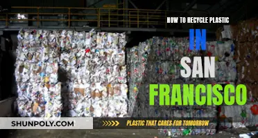 San Francisco's Guide to Recycling Plastic: Tips and Resources