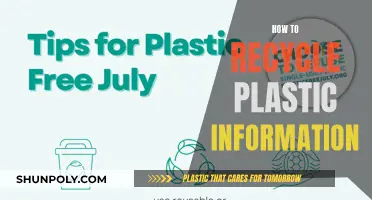 Mastering Plastic Recycling: A Comprehensive Guide to Informed Action