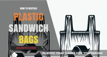 Eco-Friendly Tips: Recycling Plastic Sandwich Bags for a Greener Tomorrow