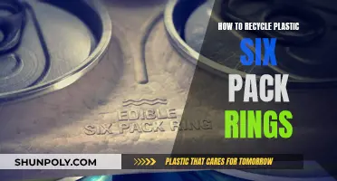 Creative Ways to Recycle Plastic Six-Pack Rings