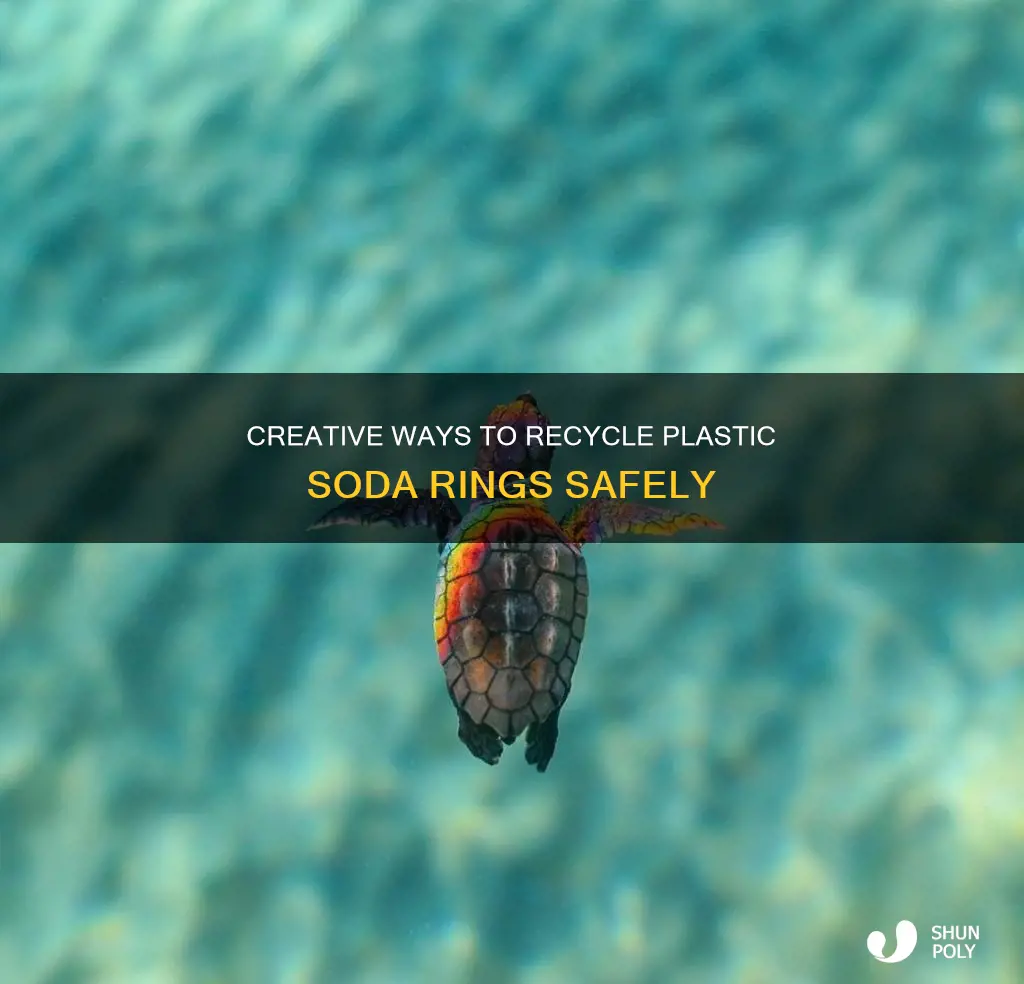 how to recycle plastic soda rings