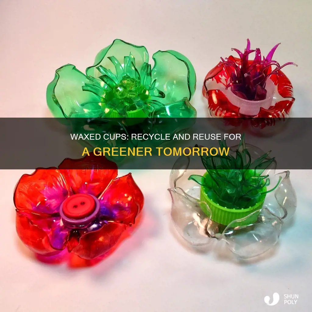 how to recycle plastic waxed cups