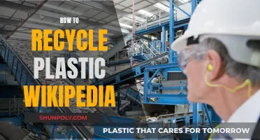 Recycling Plastic: A Guide to Going Green and Saving Our Planet