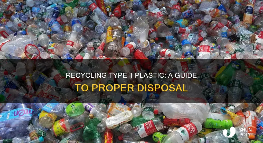 how to recycle type 1 plastic