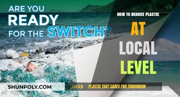 Local Action: Reducing Plastic Waste in Our Communities