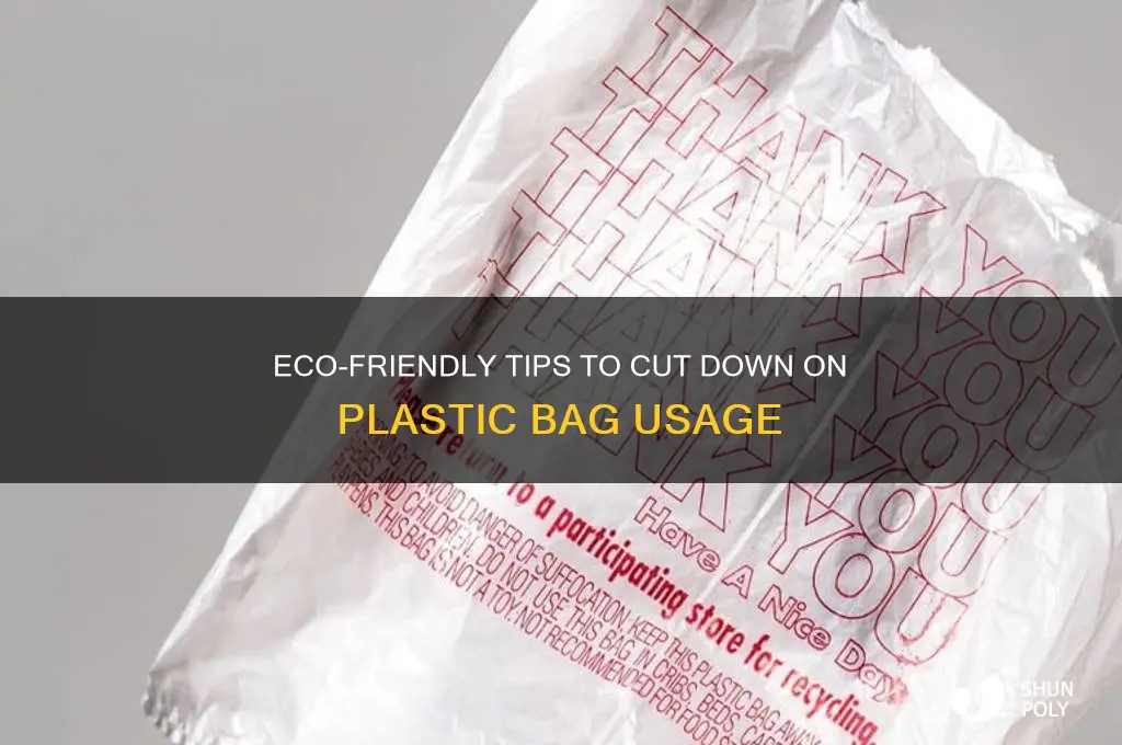 how to reduce plastic bag