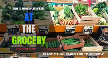 Eco-Friendly Shopping: Simple Tips to Cut Down on Plastic Bags