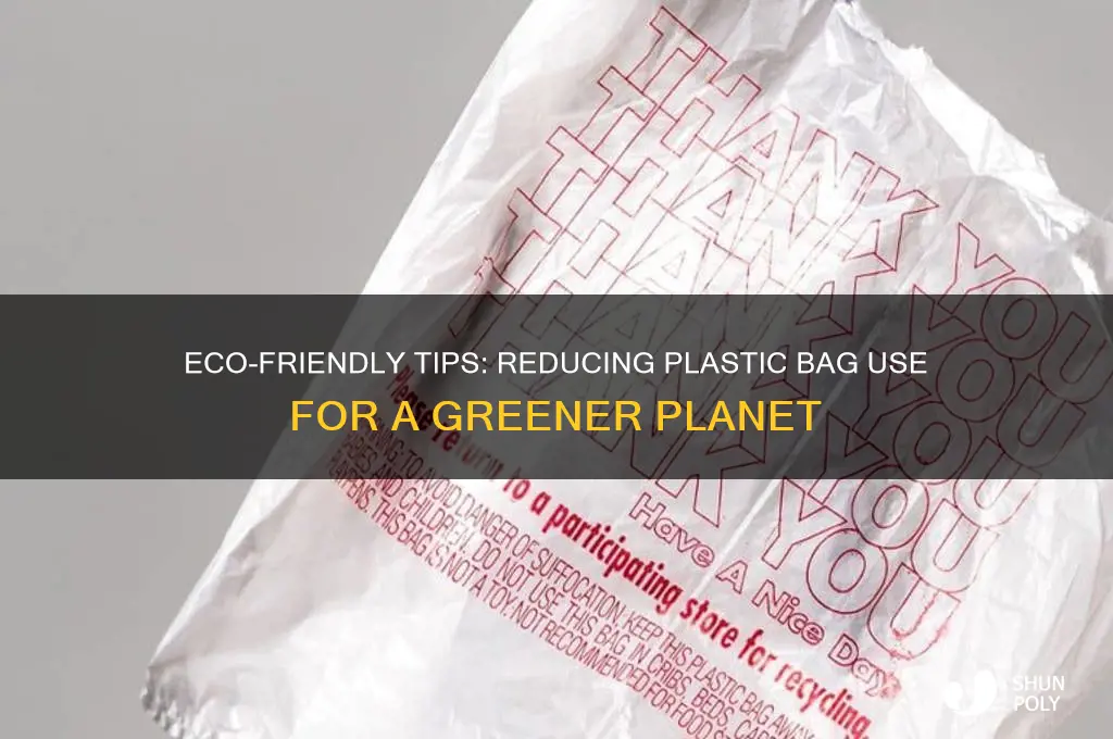 Eco-Friendly Tips: Reducing Plastic Bag Use For A Greener Planet | ShunPoly