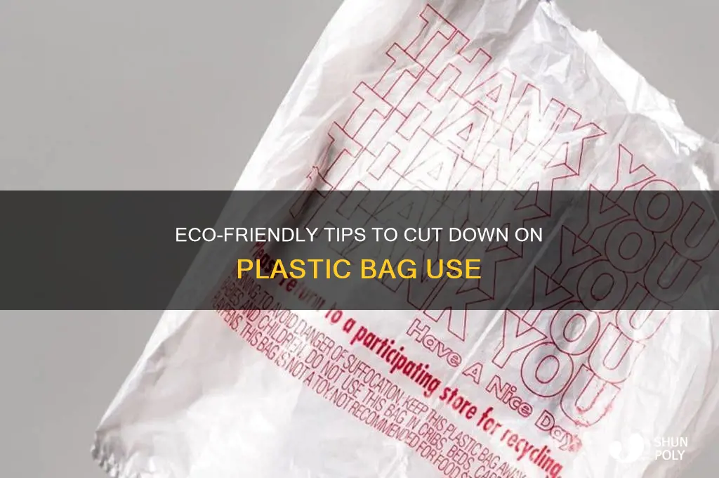 how to reduce plastic bags usage