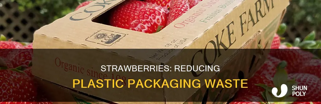 how to reduce plastic from strawberries