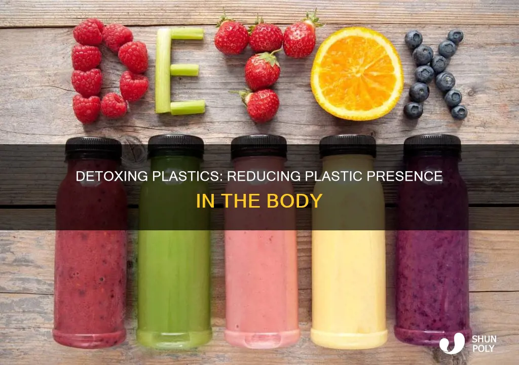 how to reduce plastic in body