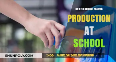 Reducing Plastic Production: Steps for Schools to Take Now
