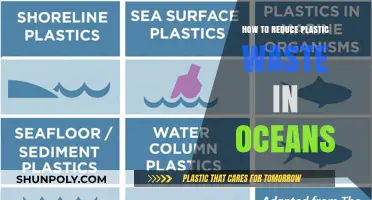 Protecting Our Oceans: Reducing Plastic Waste