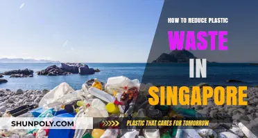 Reducing Plastic Waste: Singapore's Green Future