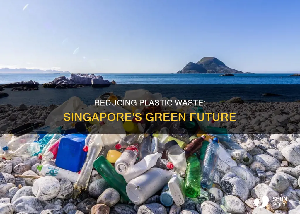 how to reduce plastic waste in singapore