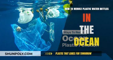 Stop Ocean Plastic: Simple Steps to Reduce Water Bottle Waste