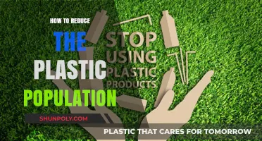 Reducing Plastic Pollution: Tips for a Greener Tomorrow