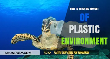 Reducing Plastic's Environmental Impact: Small Changes, Big Difference