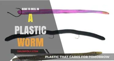 Mastering the Art of Fishing With Plastic Worms