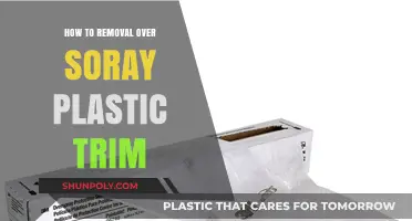 Effective Techniques for Removing Overspray from Plastic Trim