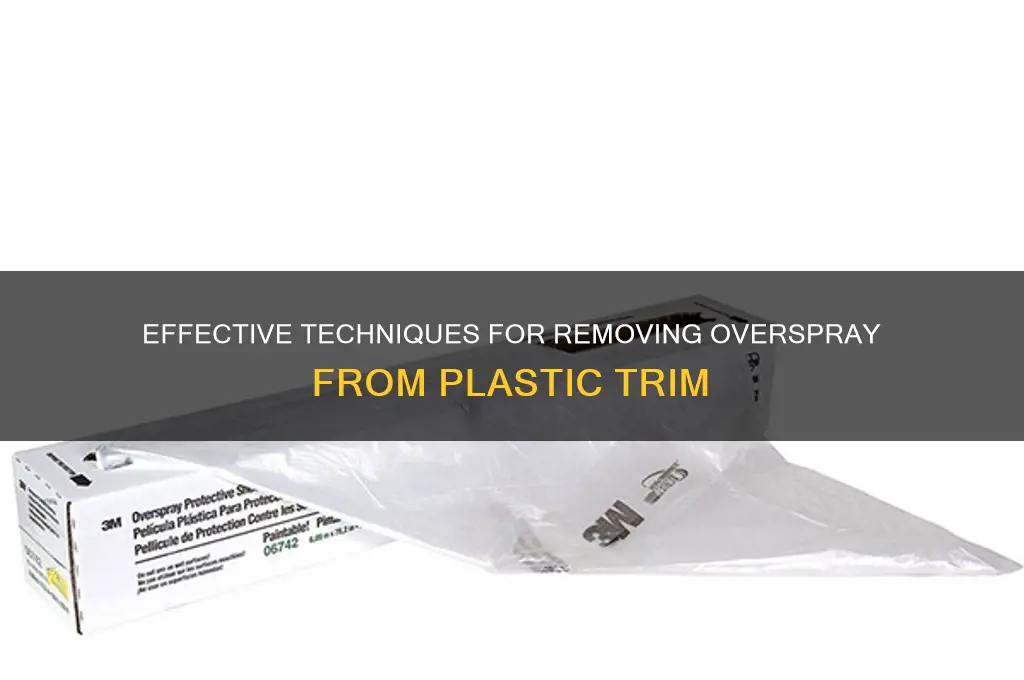 how to removal over soray plastic trim