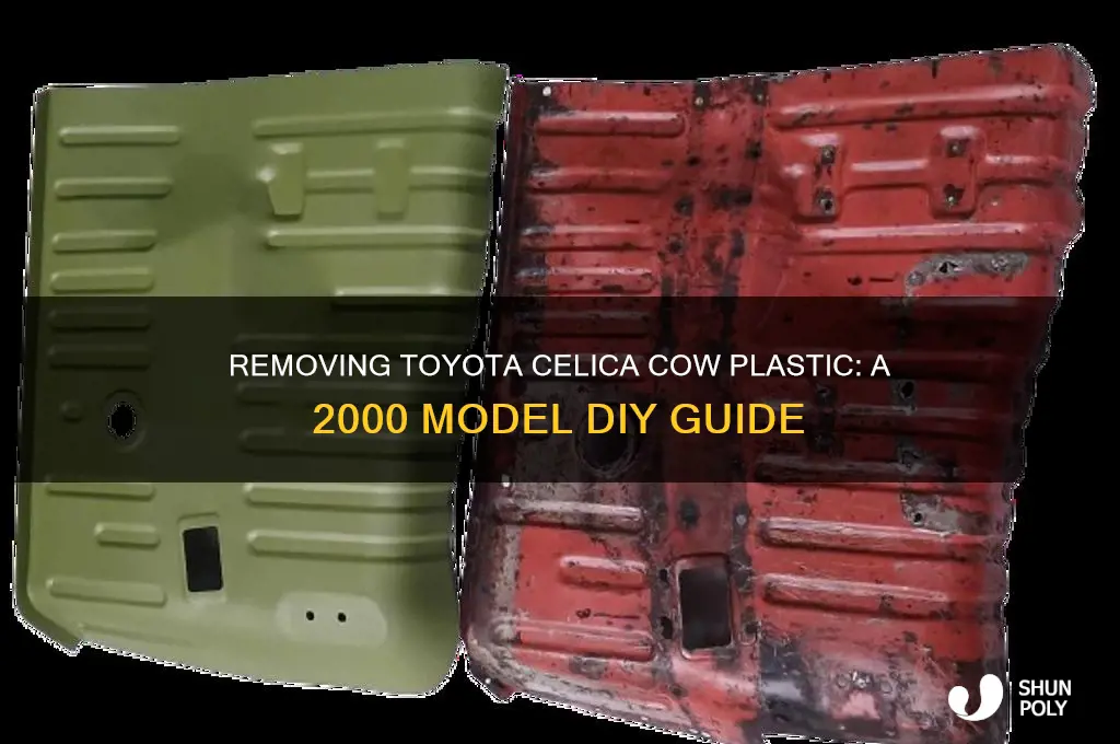 how to remove 2000 toyota celica cow plastic