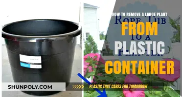 Freeing Large Plants from Plastic Containers