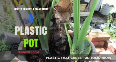 Easy Steps to Safely Remove Plants from Plastic Pots