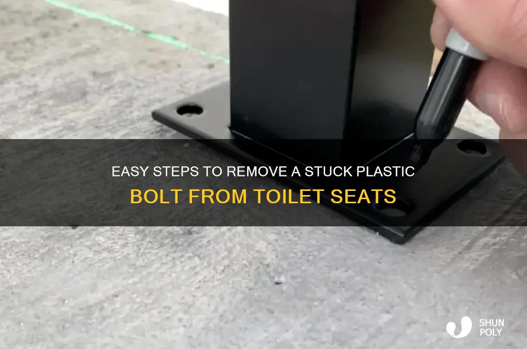 how to remove a plastic bolt from a toilet seat