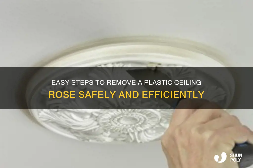 how to remove a plastic ceiling rose