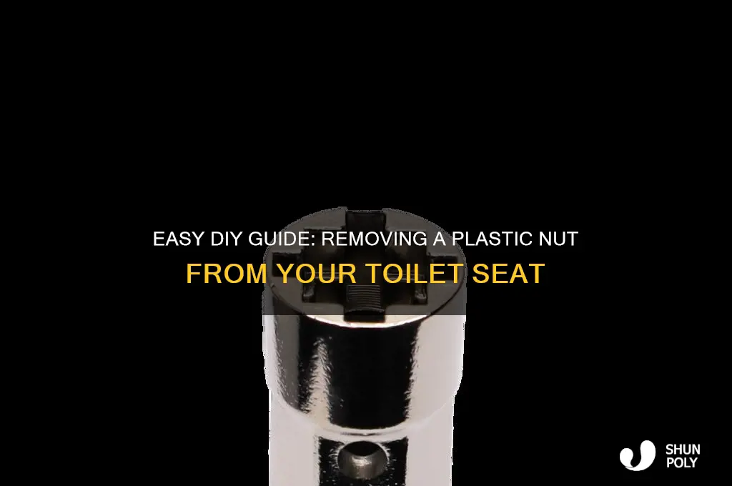how to remove a plastic nut from toilet seat