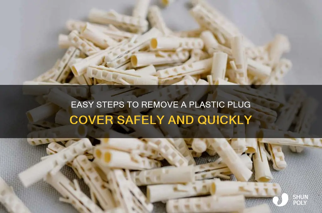 how to remove a plastic plug cover