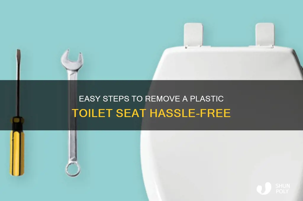 how to remove a plastic toilet seat
