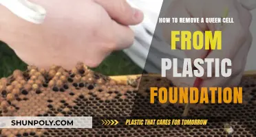 Removing Queen Cells from Plastic Foundation: A Step-by-Step Guide