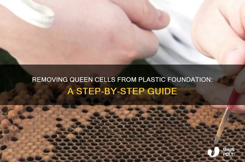how to remove a queen cell from plastic foundation