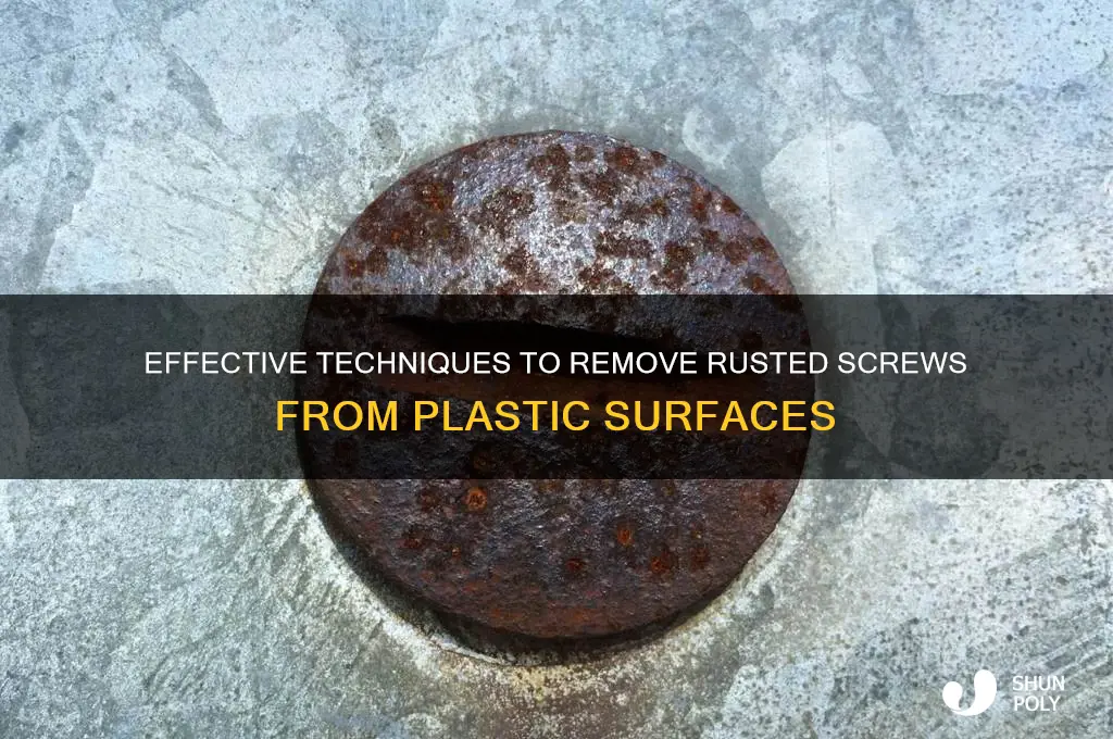 how to remove a rusted screw from plastic