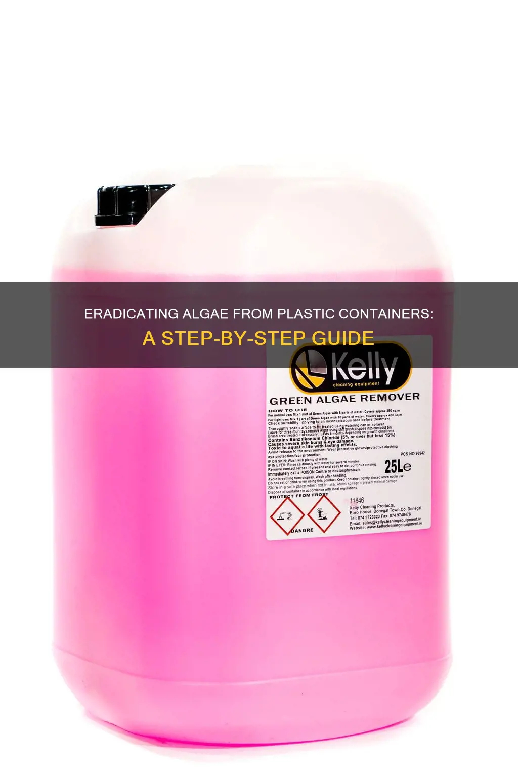 how to remove algae from inside plastic container