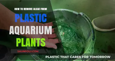 Effective Methods to Clean Algae Off Plastic Aquarium Plants Easily
