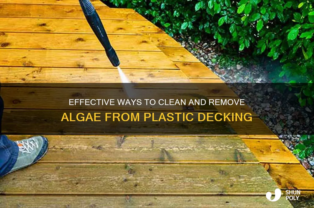 how to remove algae from plastic decking